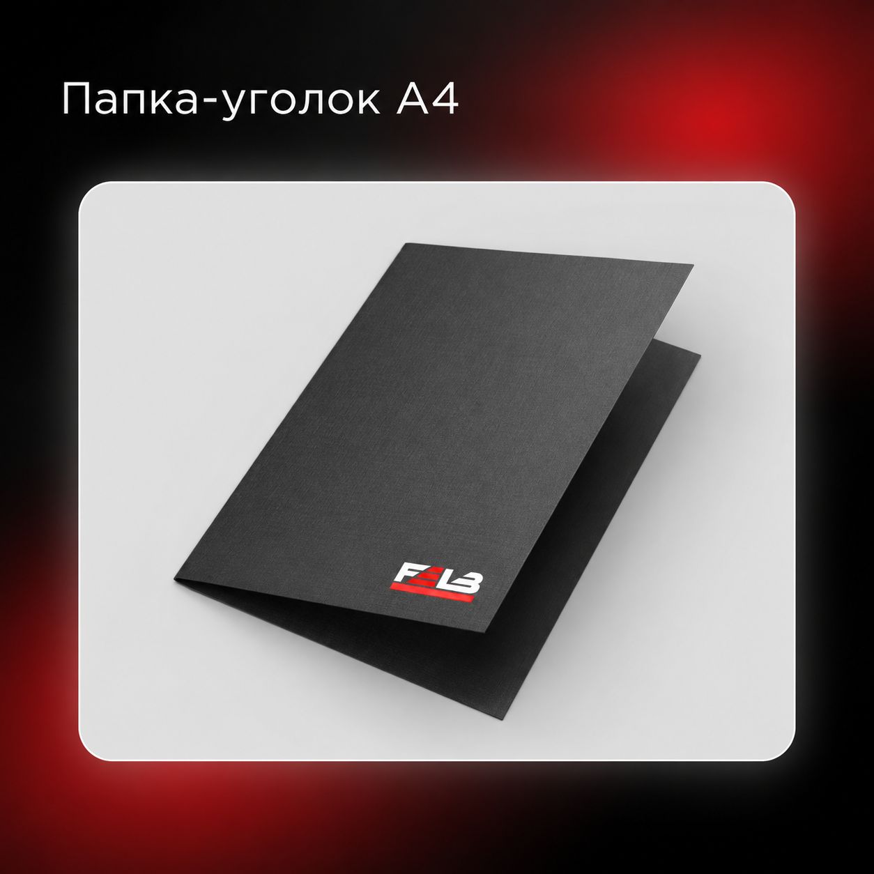 Разработка фирменного мерча для FELB